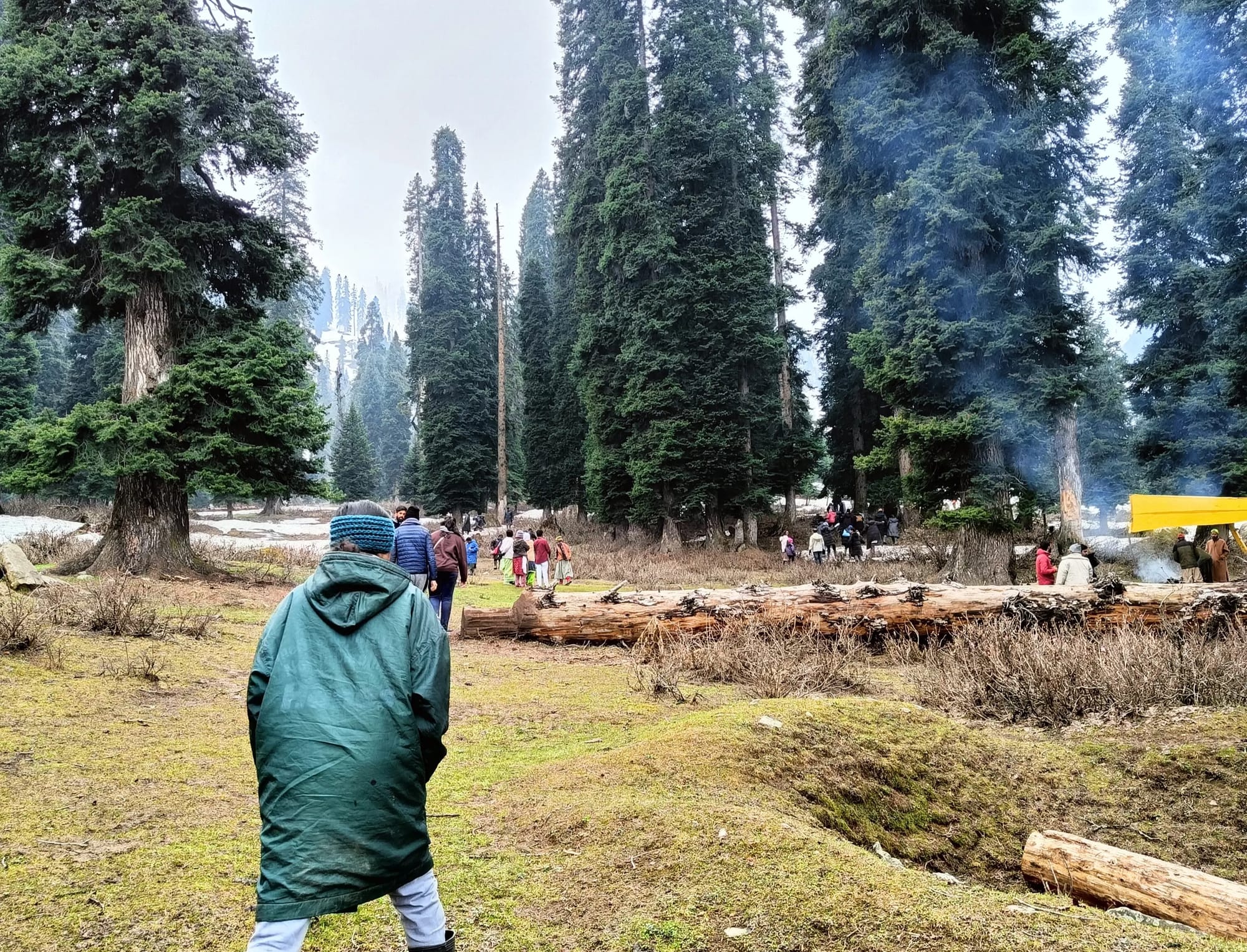 Vipin’s Kashmir Trip with Thrillophilia: A Journey Filled with Calm Views and Moments to Cherish