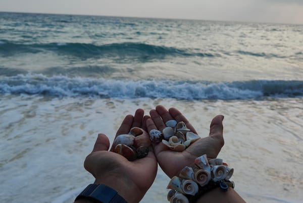 Beneath the Blue: Shubham Tidke’s Andaman Adventure Review with Thrillophilia