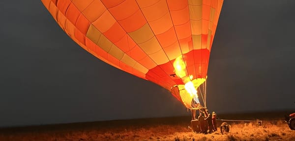 Thrillophilia Kenya Safari Review: Arpita and Ankita’s Journey into the Wild