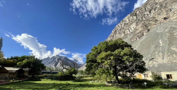 Shaila Leh Trip Thrillophilia Review: A Journey of Calm, Colour and Care